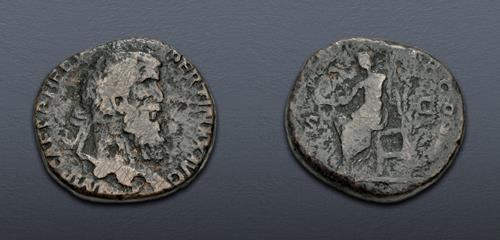Lot 505 image