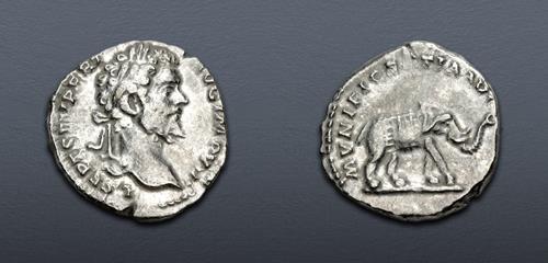 Lot 507 image