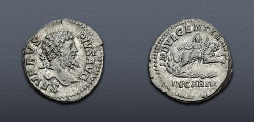 Lot 509 image