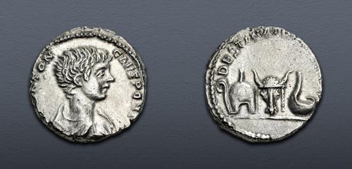 Lot 520 image