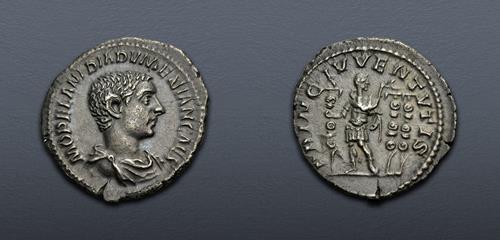 Lot 533 image