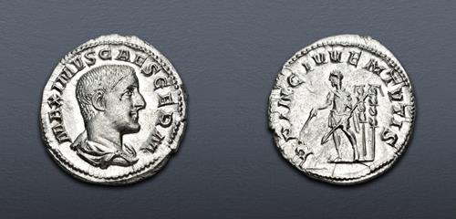 Lot 555 image