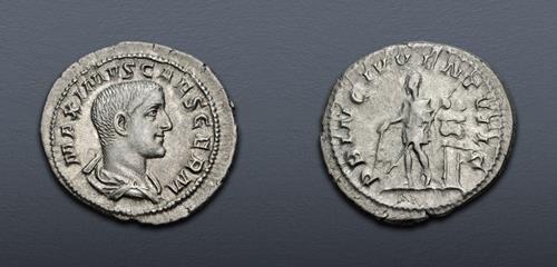 Lot 556 image