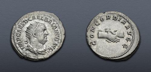 Lot 557 image