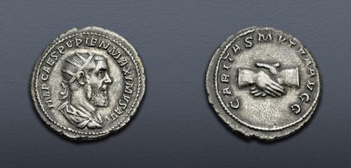 Lot 558 image