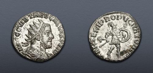 Lot 566 image