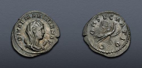 Lot 568 image