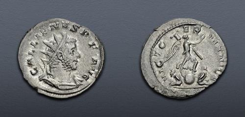 Lot 569 image