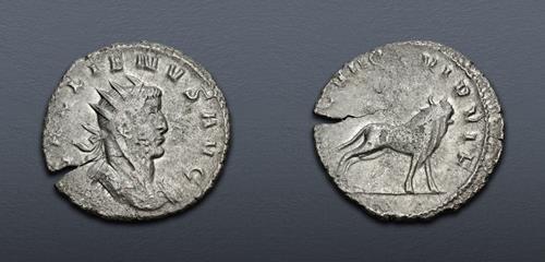 Lot 572 image