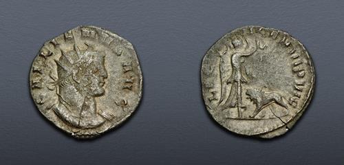 Lot 573 image