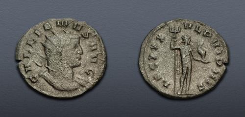 Lot 575 image