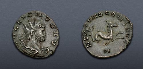 Lot 576 image