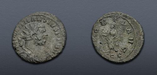 Lot 640 image