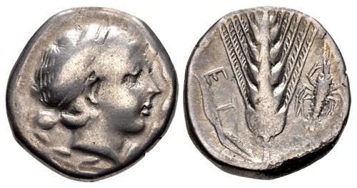 Lot nuber 11