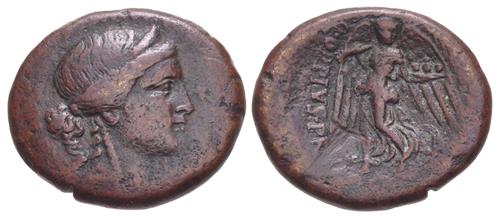 Lot 264 image