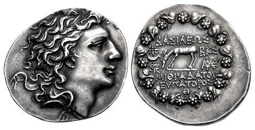 Lot 509 image