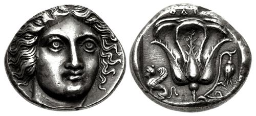 Lot 519 image