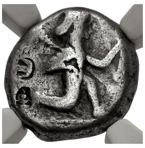 Lot 555 image