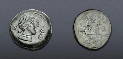 Lot 19 image