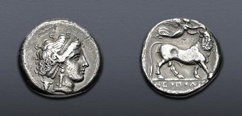 Lot 21 image