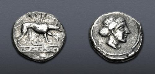 Lot 47 image