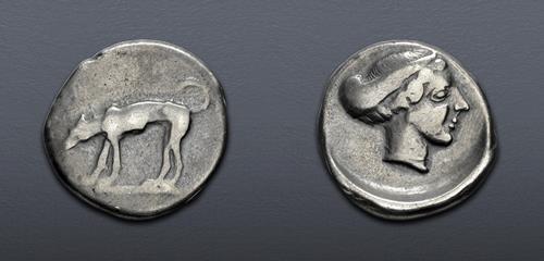 Lot 55 image