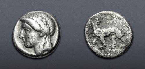 Lot 355 image