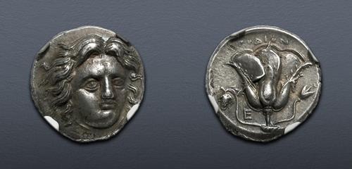 Lot 383 image