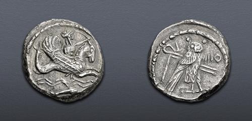 Lot 495 image