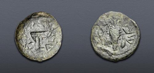 Lot 505 image