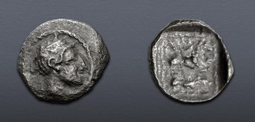 Lot 509 image