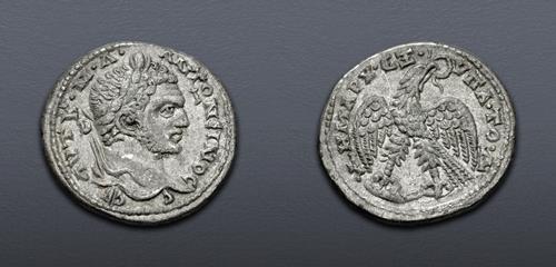 Lot 710 image