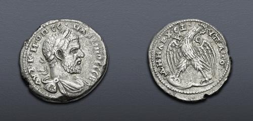 Lot 711 image