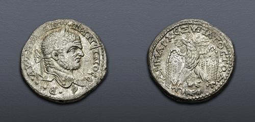 Lot 713 image