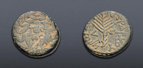 Lot 729 image