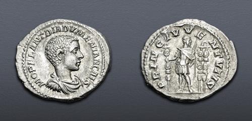 Lot 1117 image