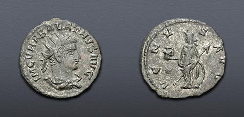 Lot 1155 image