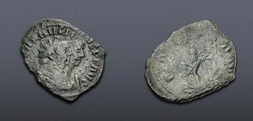 Lot 1164 image