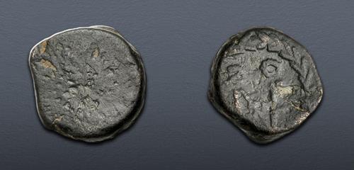 Lot 1243 image
