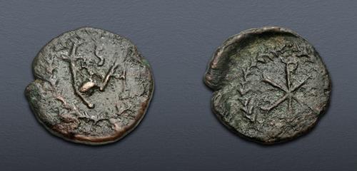 Lot 1305 image