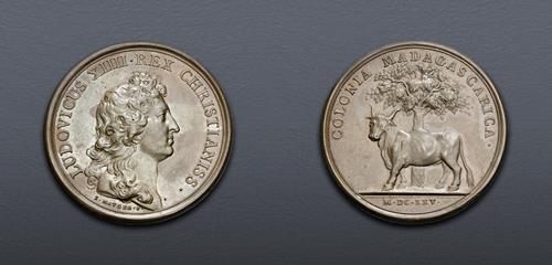 Lot 1455 image