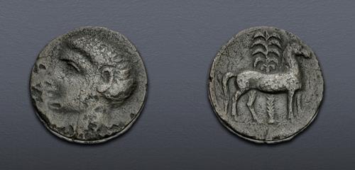 Lot 15 image