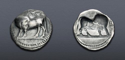 Lot 37 image