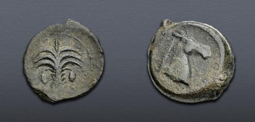 Lot 65 image