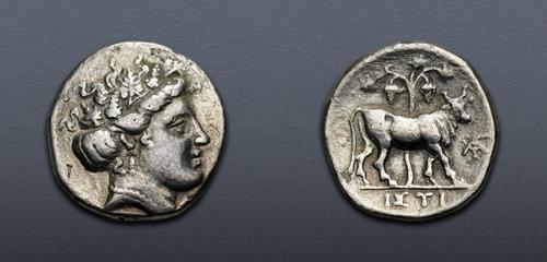 Lot 182 image