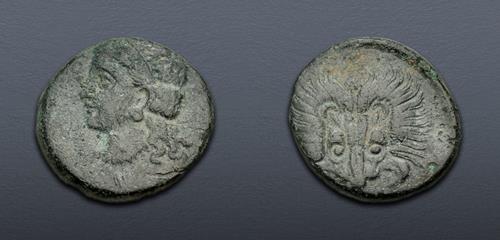 Lot 305 image