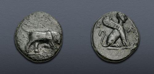 Lot 312 image
