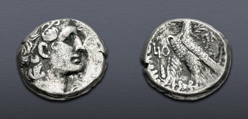 Lot 486 image