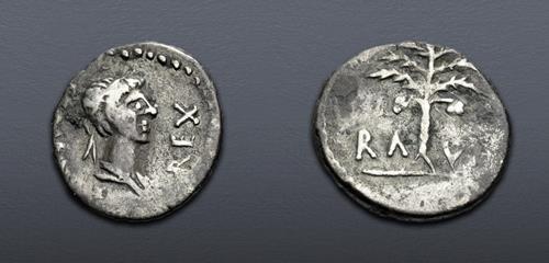 Lot 492 image