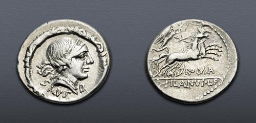 Lot 803 image